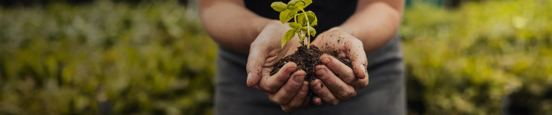 ΚΑΛΛΙΕΡΓΏΝΤΑΣ ΤΟ ΜΈΛΛΟΝ, ΣΉΜΕΡΑ!